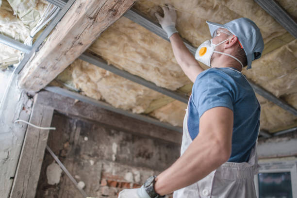 Professional Insulation Installation & Removal in Catlin, IL